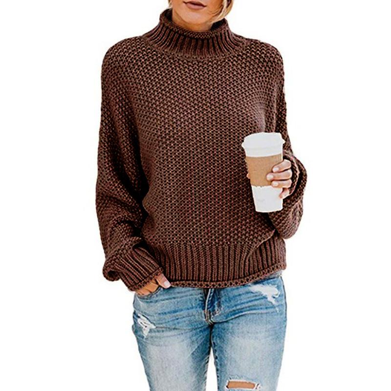 Fashion Leisure Turtleneck Pullover Sweaters-Women Sweaters-Brown-S-Free Shipping at meselling99