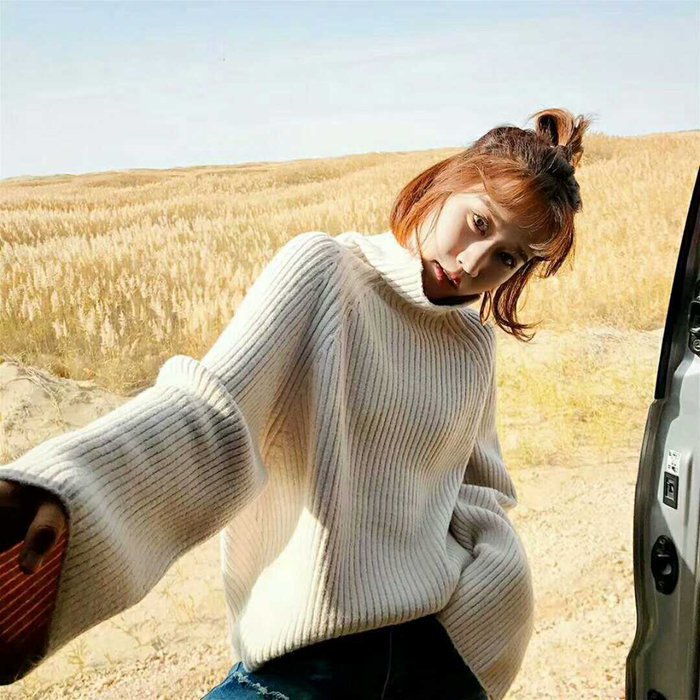 Women High Neck Loose Fall Sweaters-Sweaters-Free Shipping at meselling99